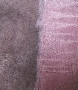 MyPhone 8_20_2017 1536R1 Carpet Cleaning