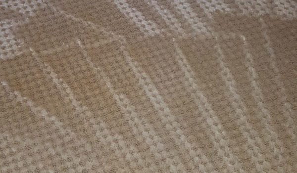 All inclusive carpet cleaning